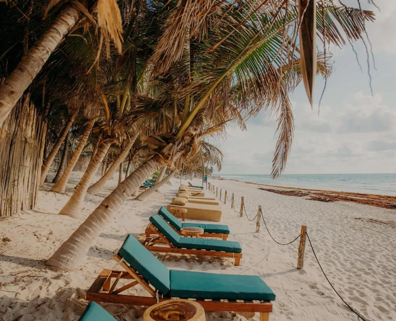 Luxury Condo With Papaya Playa Project Beach Club Membership Tulum Apartment