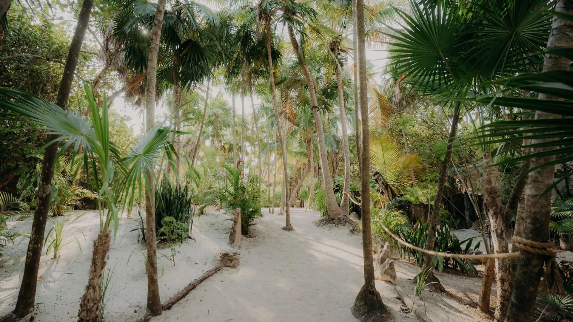 Luxury Condo With Papaya Playa Project Beach Club Membership Tulum