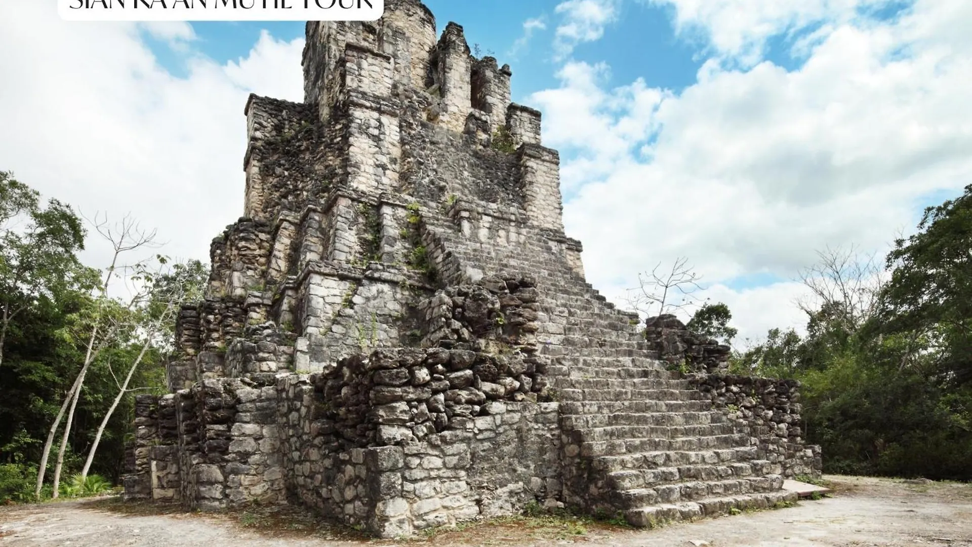 Luxury Condo Papaya Playa Project Beach Club Membership Included Tulum