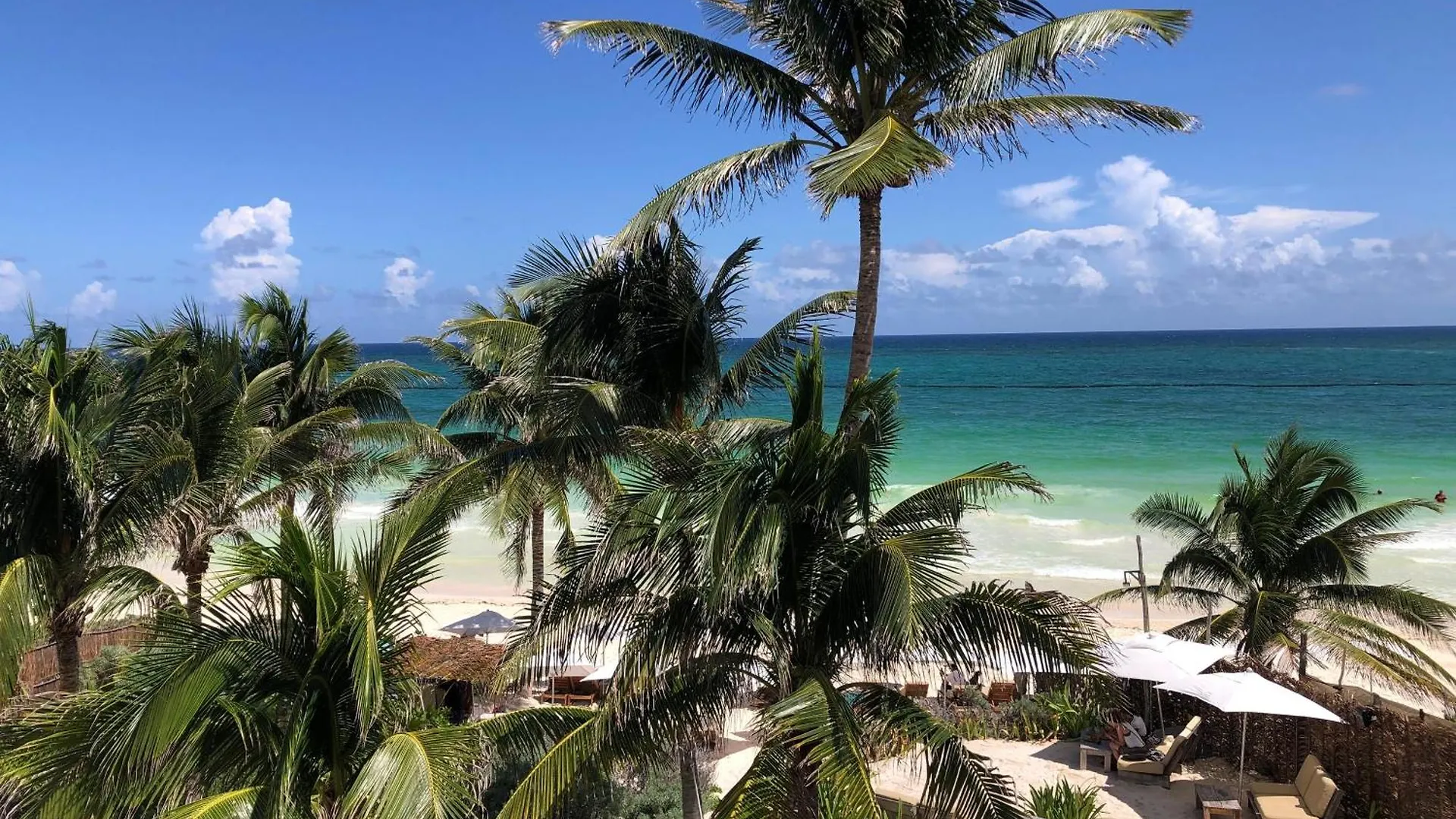 Luxury Condo Papaya Playa Project Beach Club Membership Included Tulum